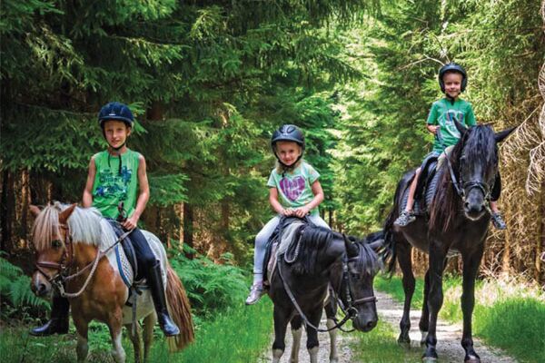 Drei Kinder reiten auf drei Ponys im Wald