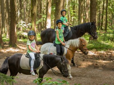 Kinder reiten auf Ponys im Wald mit Betreuung