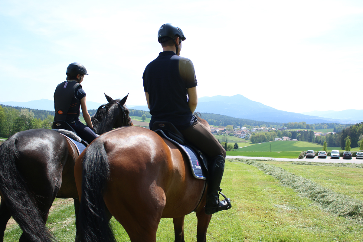 Zwei Reiter auf Pferden blicken über Landschaf