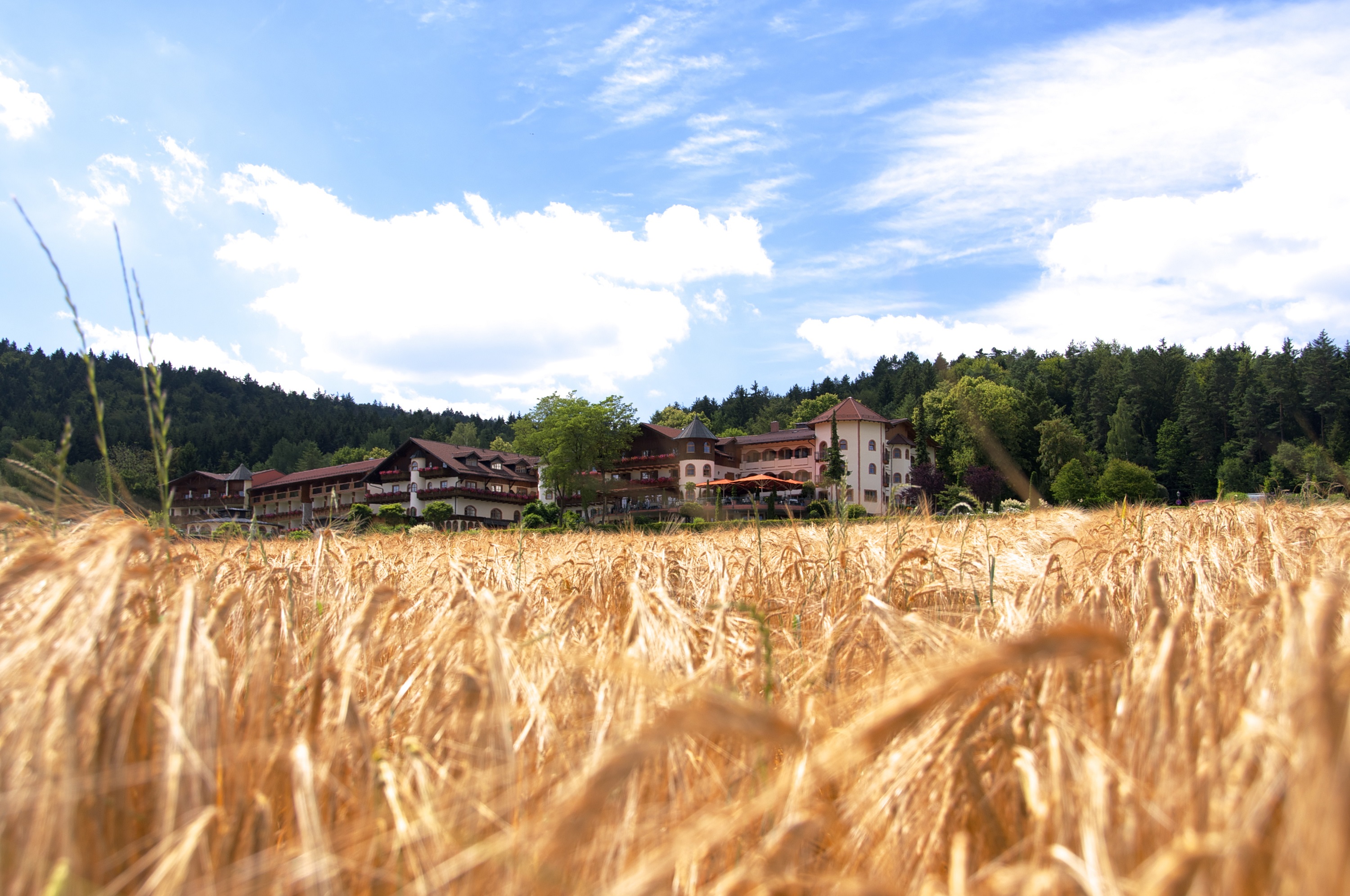 Bayerwaldhof inmitten der grünen Hügellandschaft des Bayerischen Waldes