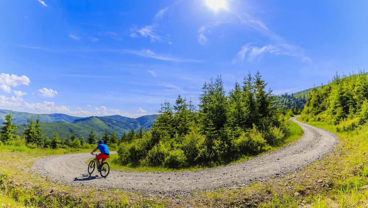 Radweg durch die Bayerwald-Landschaft mit Bergpanorama und blauem Himmel